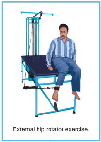 IMICO Exercise Chair Manufacturers imico exercise chair suppliers in delhi, imico exercise chair suppliers in india, imico exercise chair manufacturers in delhi, imico exercise chair manufacturers in india