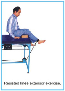 imico complex exercising unit, imico complex exercising unit suppliers in delhi, imico complex exercising unit india, imico exercise chair